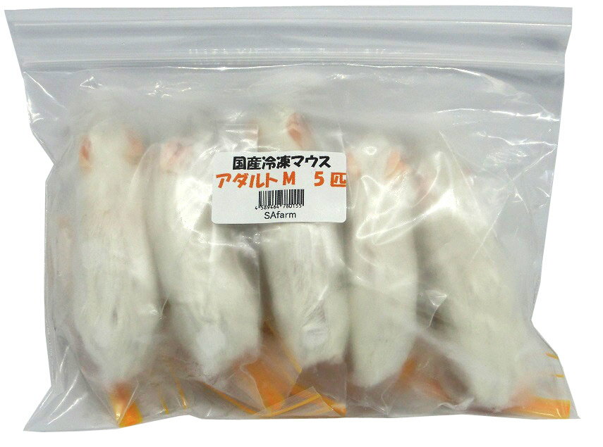 国内養殖の安心冷凍マウスです。 アダルトM　約20g 1匹ずつ個包装しております。 ※製品の性質上、下記の点ご了承ください。 加工・検品の際に念入りにチェックしておりますが 多少の欠損、大きさのばらつき、多少の汚れが付着している場合がございます。 国産冷凍マウス アダルトM 5匹 SAfarm 名称 ペットフード 原材料名 マウス 内容量 5匹 賞味期限 発送から3ヶ月以内 保存方法 冷凍保存 製造・販売者 SAfarm 大阪府柏原市上市3丁目 12−13−1番 広告文責 SAfarm TEL 072-979-7836 メーカー SAfarm 生産国 日本 商品区分 ペットフード