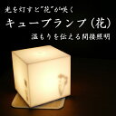 間接照明 キューブランプ (花) 150mm×150mm×150mm インテリア照明/テーブルランプ