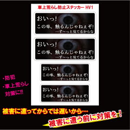 セキュリティーステッカー　ホラーバージョン　車上荒らし対策　アラーム搭載ステッカー 4枚入り　車両荒らしを抑制！　 犯罪対策 前後 事故防止 カメラ シール