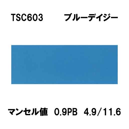 TSC603　ブルーデイジー　1000mm×1000mm　3MスコッチカルJシリーズ・電飾フィルム