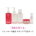 美白 美肌 保湿 トレハロース ビタミンC誘導体 サイクレアーエイジング 無香料 無着色 うるおい しみ そばかすハリ クレンジング 洗顔 化粧水 クリーム 日やけ止め 日本製 サイクレア エイジング 医薬部外品 スキンケア(4)