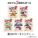 フリスク・ミンティアよりも断然刺激的＆断然お得！　爆発ミントキャンディー　54g　10個入り＊配送分類:1