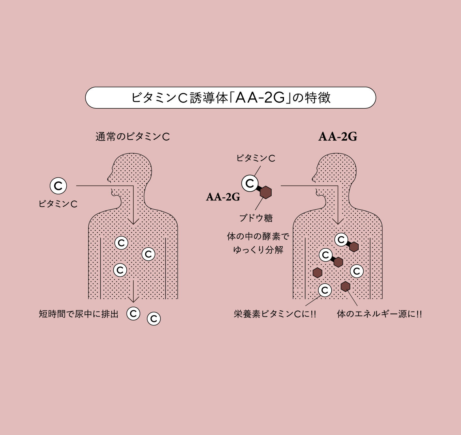 ビタミンC サプリ プロビタC PROVITAC 120g ビタミンC誘導体 顆粒 飲む 紫外線対策...