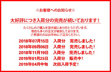 【国内正規品】アドワン ポータブルDVDプレーヤー 10.1型 車でDVDが見れる リージョンフリー 車載用ヘッドレスト(バッグ)付 保証1年付 ポータブルDVDプレイヤー 持ち運び 旅行 英会話 ワンセグと防水は未対応 プレゼント 海外 飛行機 子供用 アドワン 車内