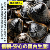 【冷凍】 送料無料 青森小川原湖産 大和しじみ 『冷凍シジミ』(1kg) 安心の青森県小川原湖漁業組合謹製 蜆 シジミ しじみ オルニチン カルシウム 肝臓 肝機能 肝機能回復 出汁 潮汁 味噌汁 家庭用 業務用 国産 ヤマトシジミ 大粒　赤出汁 お吸い物 酒 鉄分 アミノ酸 コハク酸