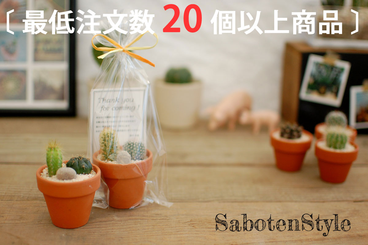 【 サボテン 多肉植物　プチギフト / テラコッタ　M】※20個からご注文下さい/ ミニサボテン 観葉植物 インテリア オシャレ おしゃれ かわいい プレゼント ギフト 雑貨 母の日 父の日 バレンタイン ホワイトデー 結婚祝い 後藤サボテン GOTO SABOTEN /