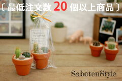 https://thumbnail.image.rakuten.co.jp/@0_mall/saboten-s/cabinet/00837800/imgrc0075830654.jpg