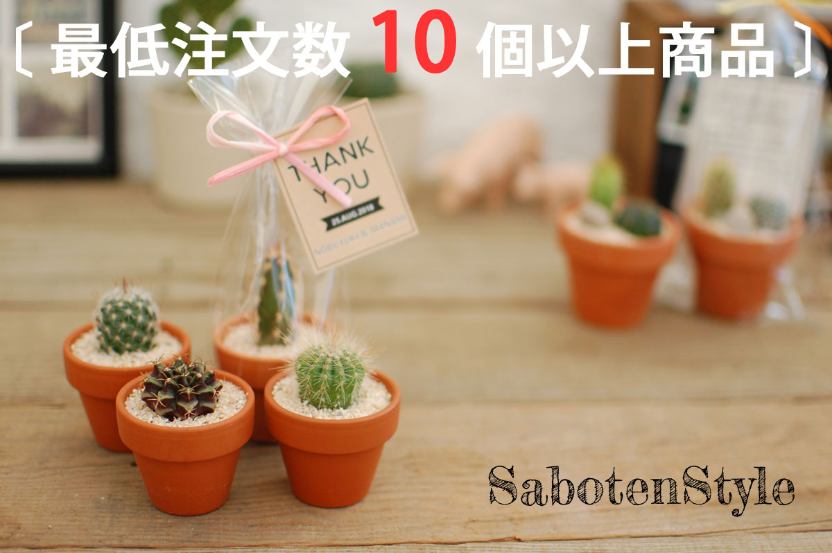 【 サボテン 多肉植物　プチギフト / テラコッタ　S】※10個からご注文下さい/ ミニサボテン 観葉植物 インテリア オシャレ おしゃれ かわいい プレゼント ギフト 雑貨 母の日 父の日 バレンタイン ホワイトデー 結婚祝い 後藤サボテン GOTO SABOTEN /