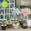 【 サボテン 多肉植物 プチギフト / エコPOT S】/ ホワイトデー お祝い プレゼント ギフト 卒業 退職 癒し 寄せ植え アレンジ ミニサボテン 観葉植...