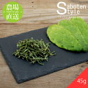 【ドライノパル（国産） 45g】/ サボテン 多肉植物 ウチワサボテン 食用サボテン ノパル ノパール ノパレス NOPAL スーパーフード　ダイエット 腸活 ビーガン メキシコ メキシカン タコス TACOS 野菜 粉末 後藤サボテン イグアナ リクガメ /