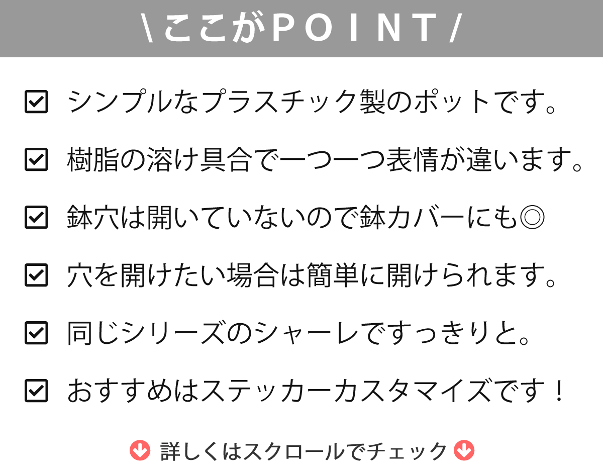 【プラスチック POT 直径15cm】/ 鉢 プランター 鉢カバー サボテン 多肉植物 ミニサボテン 寄せ植え 観葉植物 インテリア オシャレ かわいい プレゼント ギフト 雑貨 母の日 父の日 バレンタイン ホワイトデー クリスマス 後藤サボテン GOTO SABOTEN / 2