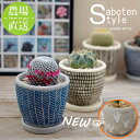 【玉サボテン / レリーフPOT】/ サボテン 多肉植物 ミニサボテン 観葉植物 インテリア オシャレ かわいい プレゼント ギフト 雑貨 母の日 父の日 バレンタイン ホワイトデー クリスマス 後藤サボテン 新生活 /