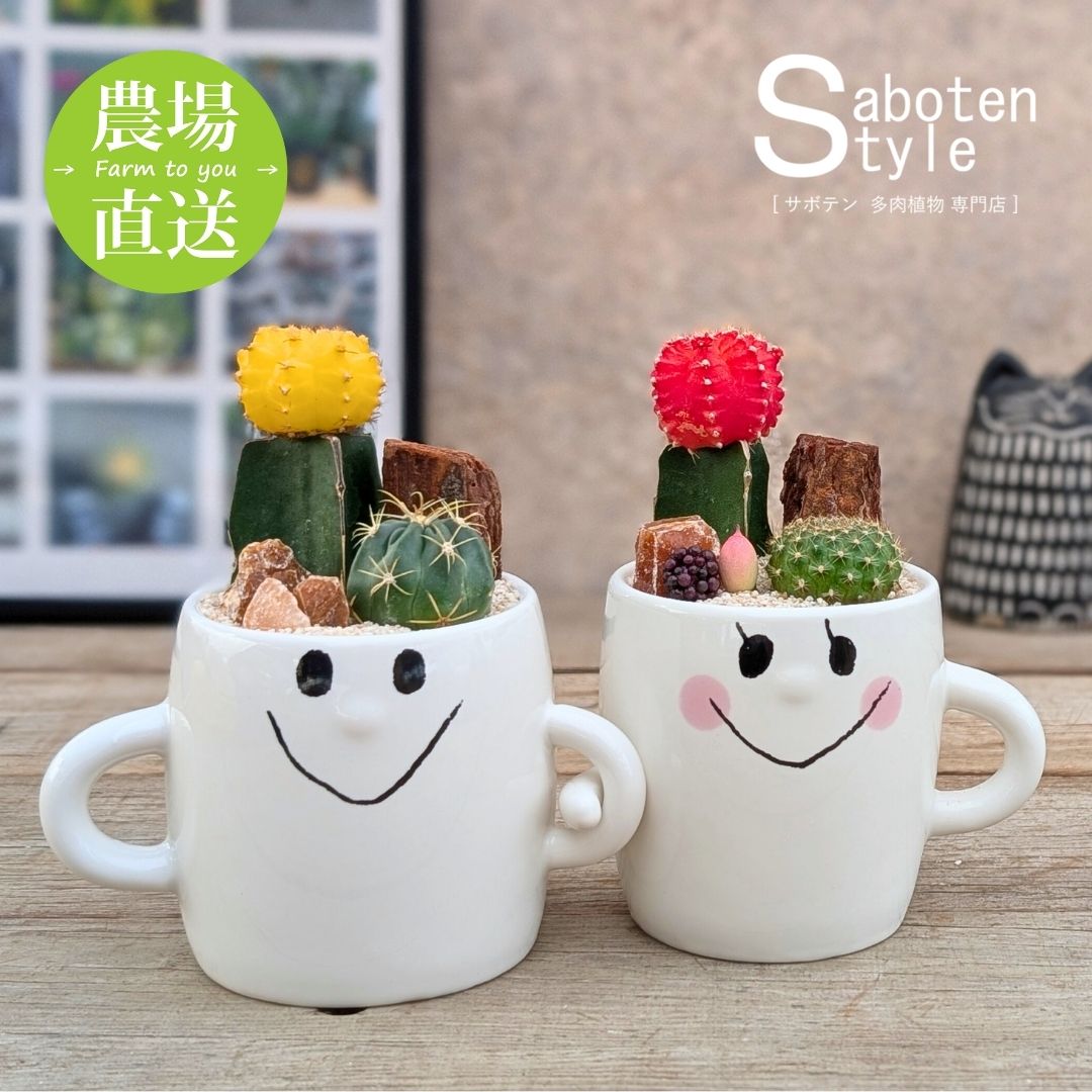 【 サボテン 寄せ植え / スマイルファミリー“ペア”】/ ホワイトデー お祝い プレゼント ギフト 卒業 退職 癒し 寄せ植え アレンジ ミニサボテン 観葉植物 かわいい おしゃれ 結婚 母の日 父の日 クリスマス バレンタイン 後藤サボテン 春日井/