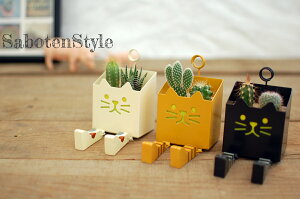 【DECOLE ブリキ CAT サボテン / ブリキCAT】/ サボテン 多肉植物 ミニサボテン 寄せ植え 観葉植物 インテリア オシャレ かわいい プレゼント ギフト 雑貨 母の日 父の日 バレンタイン ホワイトデー クリスマス 後藤サボテン GOTO SABOTEN 猫 ネコ /