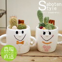 【 サボテン 寄せ植え / スマイル ファミリー“ ウェデイング ”】/ 多肉植物 ミニサボテン 観葉植物 インテリア オシャレ おしゃれ かわいい プレゼント ギフト 雑貨 母の日 父の日 バレンタイン ホワイトデー クリスマス 結婚祝い 後藤サボテン GOTO SABOTEN /