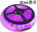 24V LED テープライト 5m 防水 300連 ピンク パープル 桃 紫 バス トラック トレーラ トラクタ 5メートル 正面発光