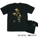 バレーボール 練習着 半袖 メンズ Tシャツ 「打つ・拾う・