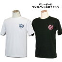 バレーボール 練習着 半袖 Tシャツ 「オールプレー」 13色から選べるワンポイントマーク