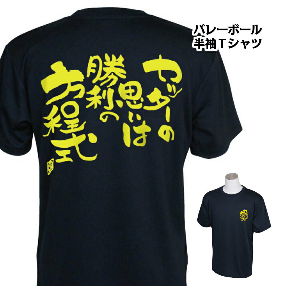 バレーボール 練習着 半袖 メンズ Tシャツ 「セッターの方程式」 (ノースアイランド) NORTHISLAND