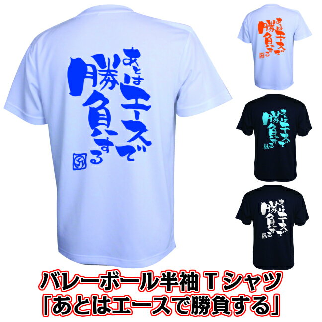 バレーボール 練習着 半袖 メンズ Tシャツ 「あとはエースで勝負する」 (ノースアイランド) NORTHISLAND