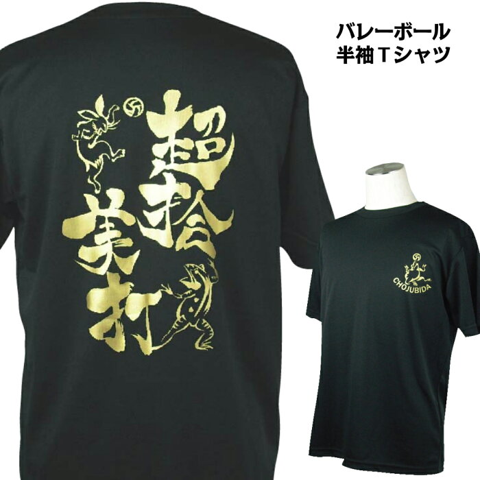 バレーボール 練習着 半袖 メンズ Tシャツ 「超拾美打」 (ノースアイランド) NORTHISLAND