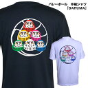 バレーボール 練習着 半袖 メンズ Tシャツ 「バレーボールDARUMA」 (ノースアイランド) NORTHISLAND