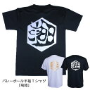 バレーボール 練習着 半袖 メンズ Tシャツ 「飛翔」 (ノ