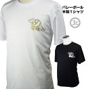 【エントリーで全商品ポイント10倍】 バレーボール 練習着 ジュニア 半袖 Tシャツ 「雲に球」 左胸ワンポイントマーク (ノースアイランド) NORTHISLAND