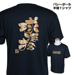 バレーボール 練習着 ジュニア 半袖 Tシャツ 「球凄拾（きゅうせいしゅ）」 (ノースアイランド) NORTHISLAND