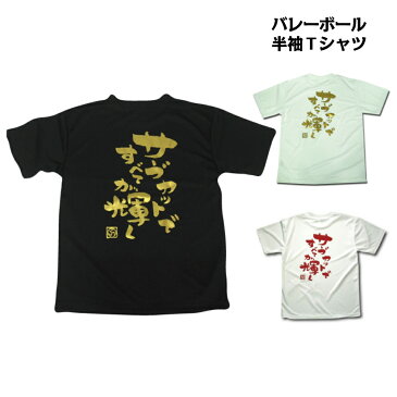 バレーボール 練習着 半袖 メンズ Tシャツ 「サーブカット」 (ノースアイランド) NORTHISLAND