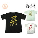 バレーボール 練習着 ジュニア 半袖 Tシャツ 「サーブカット」 (ノースアイランド) NORTHISLAND