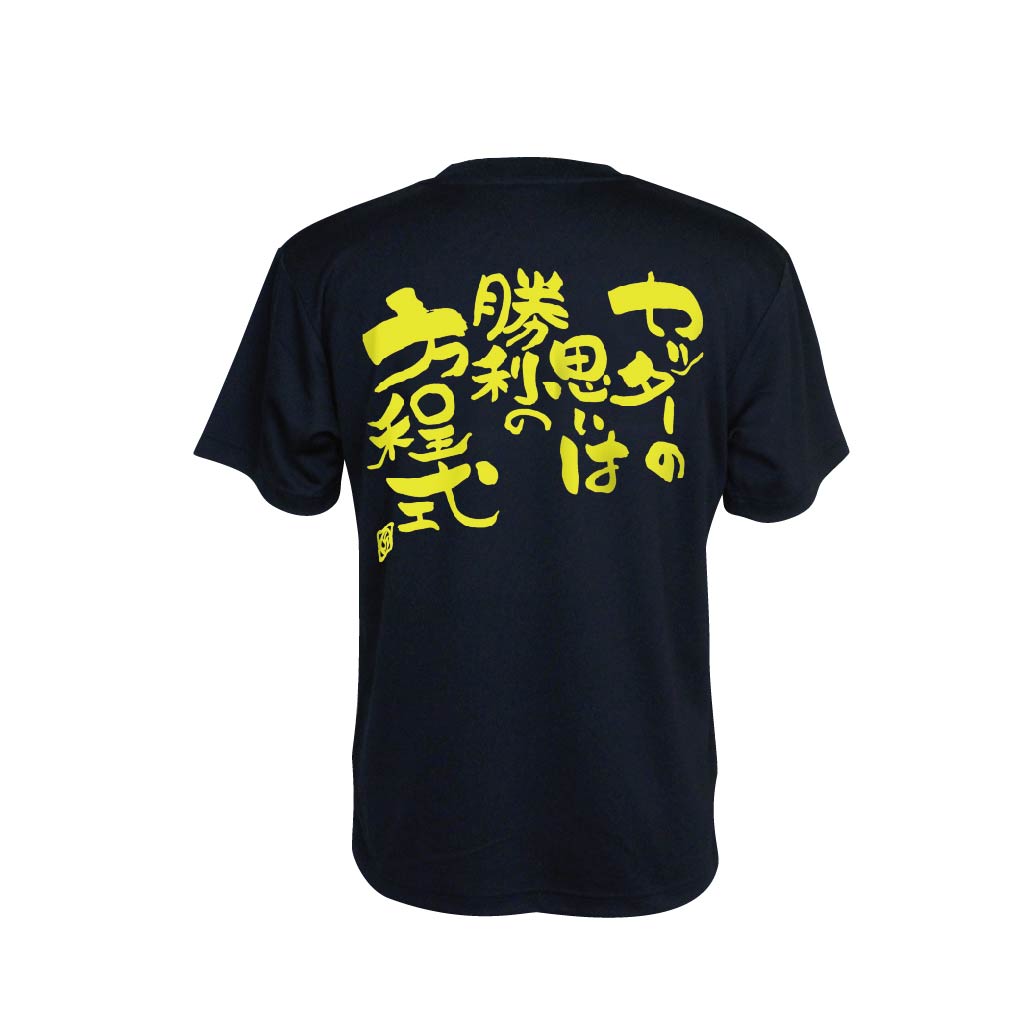 バレーボール 練習着 半袖 メンズ Tシャツ 「セッターの方程式」 (ノースアイランド) NORTHISLAND