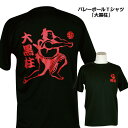 バレーボール 練習着 ジュニア 半袖 Tシャツ 「大黒柱」 (ノースアイランド) NORTHISLAND