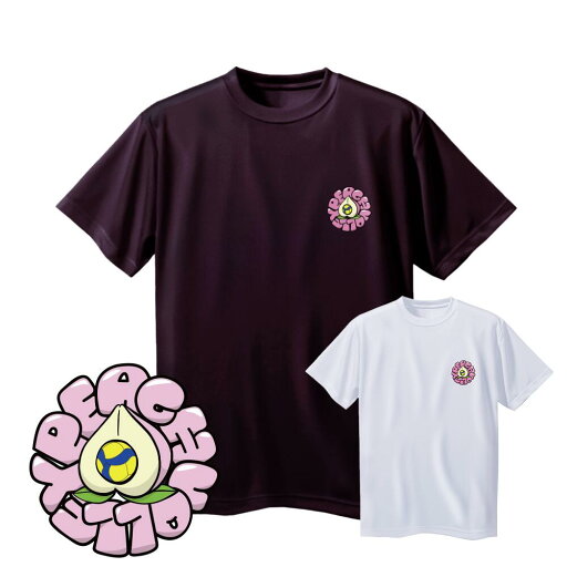 バレー 練習着 半袖 メンズ 左胸ワンポイントマーク 「ピーチバレー」 Tシャツ ノースアイランド(NORTHISLAND) バレー 練習着 半袖 メンズ 左胸ワンポイントマーク 「ピーチバレー」 Tシャツ ノースアイランド(NORTHISLAND)