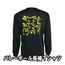 バレーボール 練習着 長袖 メンズ Tシャツ 「守りの極意!」 (ノースアイランド) NORTHISLAND