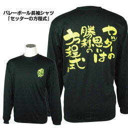 バレーボール 練習着 長袖 メンズ Tシャツ 「セッターの方程式」 (ノースアイランド) NORTHISLAND