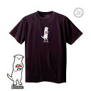 バレー 練習着 半袖 ジュニア 「Brave」 Tシャツ ノースアイランド(NORTHISLAND)