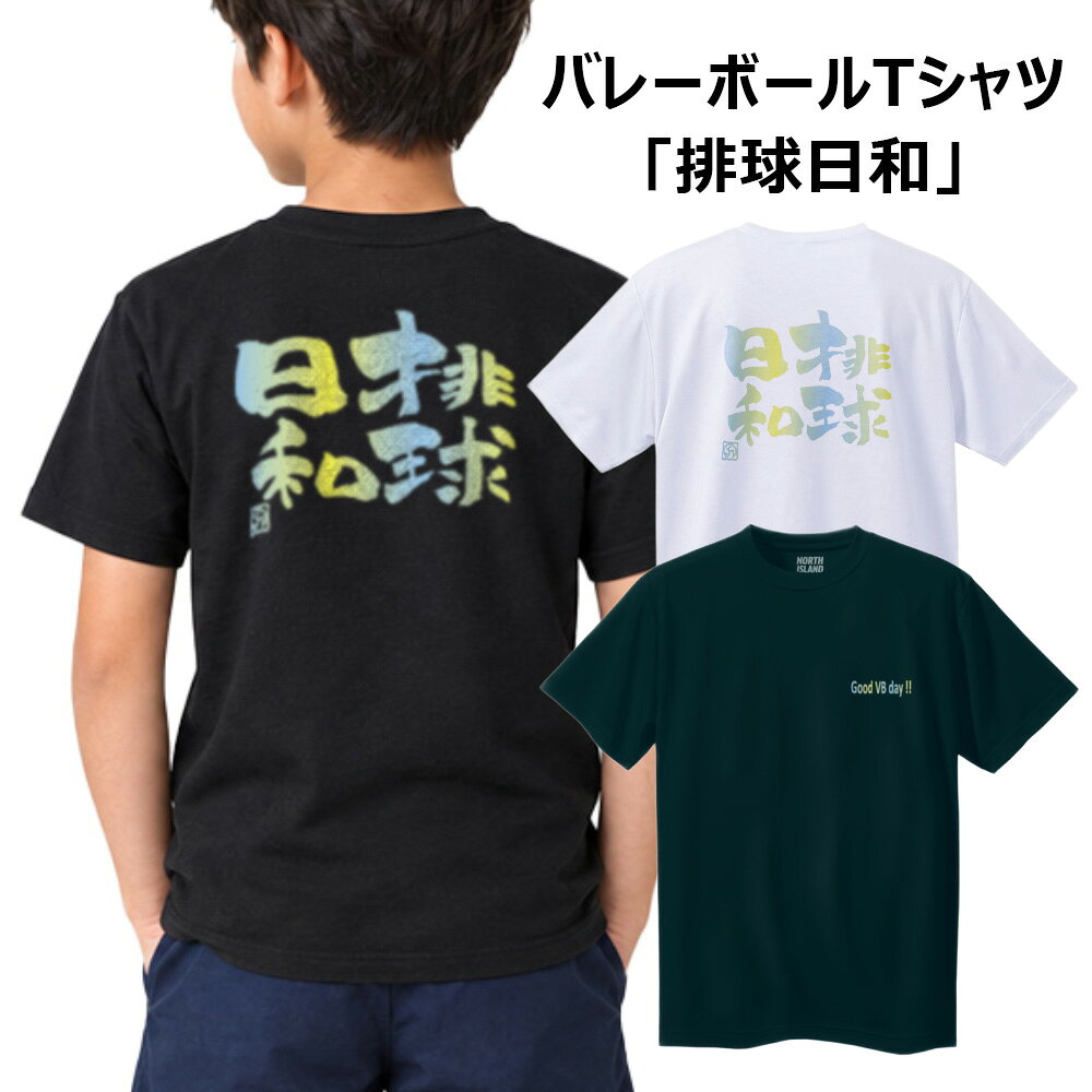 バレー 半袖Tシャツ ジュニア キッズ 子供 小学生 吸汗速乾 ドライ 軽量 柔らかい 部活 練習着 「排球日和」 ノースアイランド NORTHISLAND