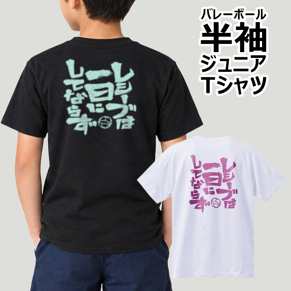 バレー 半袖Tシャツ ジュニア キッズ 子供 小学生 吸汗速乾 ドライ 軽量 柔らかい 部活 練習着 「レシーブは一日にしてならず」 ノースアイランド NORTHISLAND