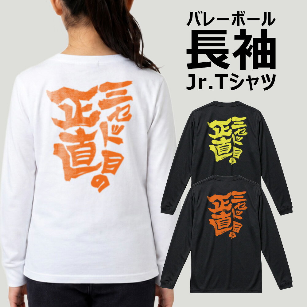 バレー 長袖Tシャツ ジュニア キッズ 子供 小学生 ロンT 吸汗速乾 ドライ 軽量 柔らかい 部活 練習着 「3セット目の正直」 ノースアイランド NORTHISLAND