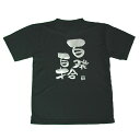バレーボール 練習着 半袖 メンズ Tシャツ 「百発百拾」 (ノースアイランド) NORTHISLAND