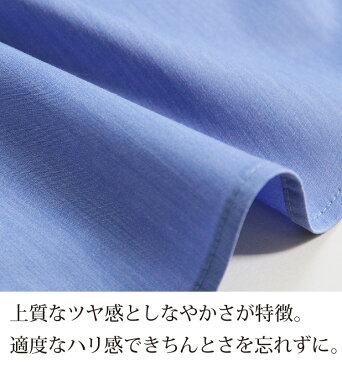 シャツ チュニック レディース トップス 50代 60代 ストライプ カジュアル 長袖 きれいめ おしゃれ 春 夏 ブラウス シャツワンピース オフィスカジュアル 仕事 通勤 体型カバー ゆったり 大きめ ロング 長袖 シンプル ミセス sachi(サチ)【即日発送】【メール便送料無料】