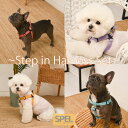 ステップインハーネス & リード セット 【SPEL】韓国ブランド 犬 ハーネスリードセット 小型犬 中型犬 大型犬 ハーネスリード 負担が少ない ハーネス 柔らかい 洗える 軽い おしゃれ 犬リードハーネス お散歩 全犬種 チワワ トイプードル 装着しやすい ハーネスリードセット