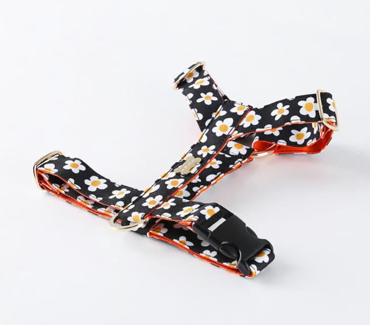 【NORADOG 】Daisy/デイジー Hハーネス※予約商品