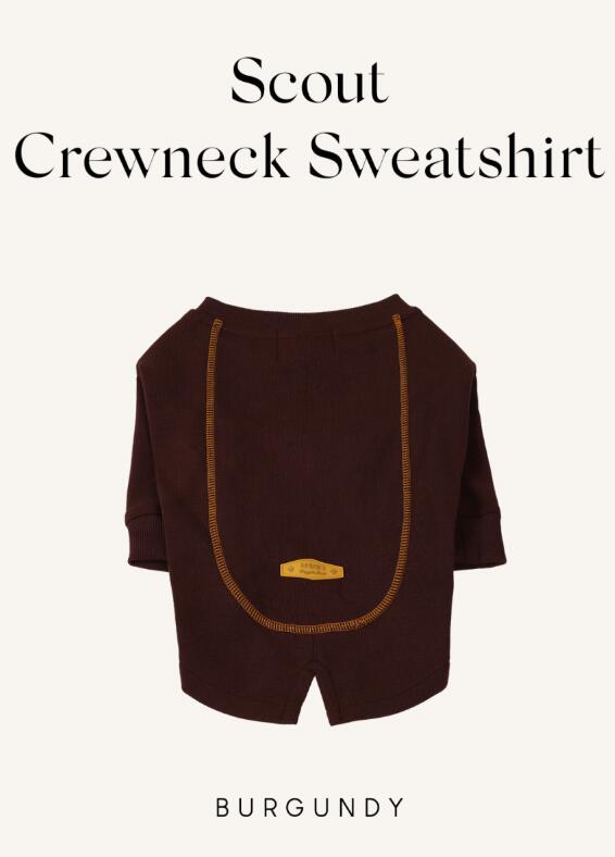 �������� ���롼�ͥå� �������åȥ���� ��HOZI�ۿ�����ڹ�֥��� �� �� ���ä����� �ڥå��� �ڥåȥ����� ������ ������ �淿�� �緿�� �ڥåȥ���...