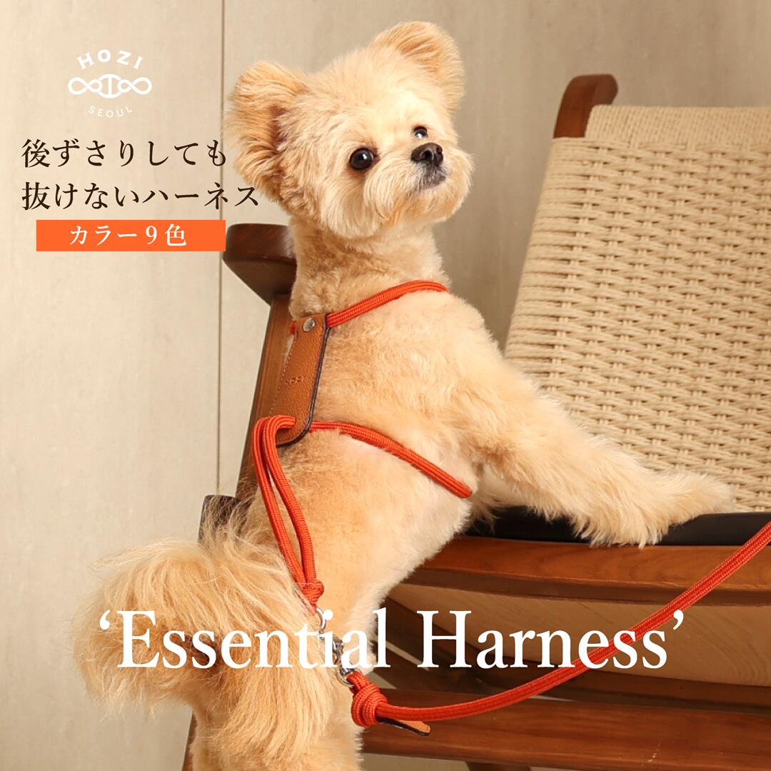 【HUNTER】 リード カナディアンアップ ラウンド＆ソフト 牛革 ドイツブランド 犬用品 犬用