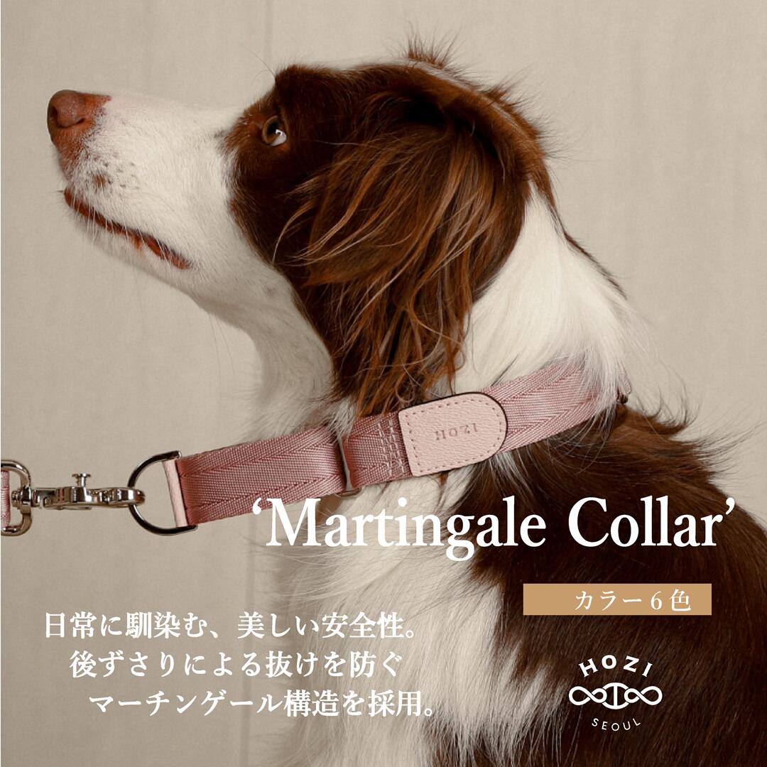 マーチンゲール首輪  韓国ブランド マーチンゲール カラー 犬 犬用首輪 かわいい 犬の首輪 いぬ首輪 犬首輪大型犬 犬首輪 犬カラー 犬用カラー やわらかい 洗える 軽い おしゃれ 小型犬 中型犬 大型犬 ホジ リード お散歩 首輪