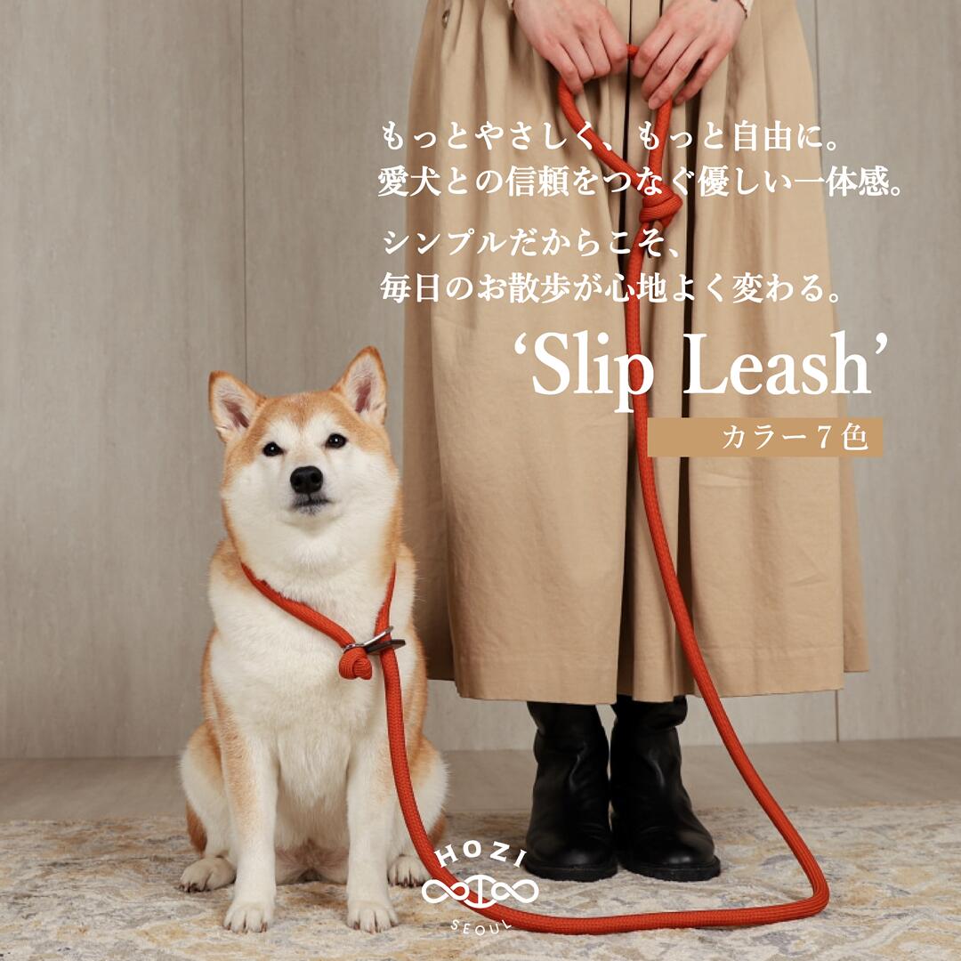 スリップリード 首輪一体型 リード  犬 ロープリード 小型犬 中型犬 大型犬 おしゃれ ドッグリード 犬用リード 柔らかい スリップリード大型犬 犬りーど 軽い ペットリード 犬のリード大型犬 お散歩 首輪 一体型 犬のリード 犬用リード小型犬 リード首輪 リード犬用