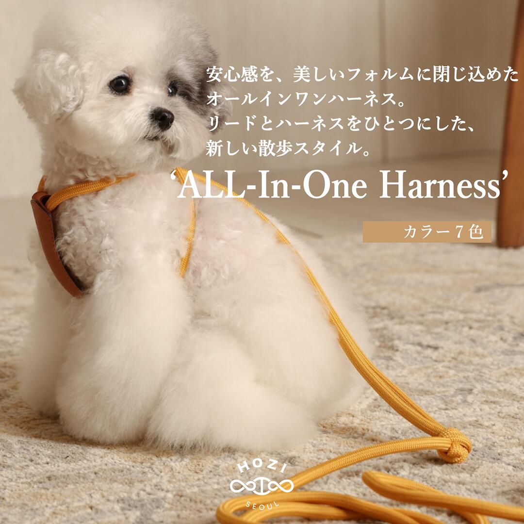 オールインワンハーネス 韓国ブランド ハーネス一体型 リード ハーネスリード 犬 小型犬 中型犬 ハーネス犬用 犬リードハーネス ロープリード 散歩ひも やわらかい 洗える 軽い ハーネス 一体型 おしゃれ リード一体型 お散歩 首輪 ホジ