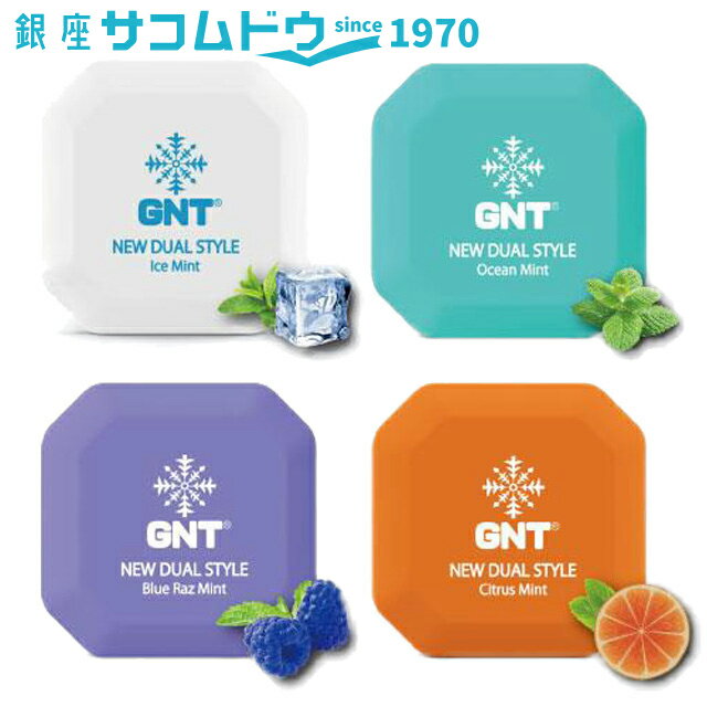 【5％円OFFクーポン 5/18 00:00～5/21 09:59迄】GNT 電子清涼ミスト アイスミント オーシャンミント ブルーラズミント シトラスミント